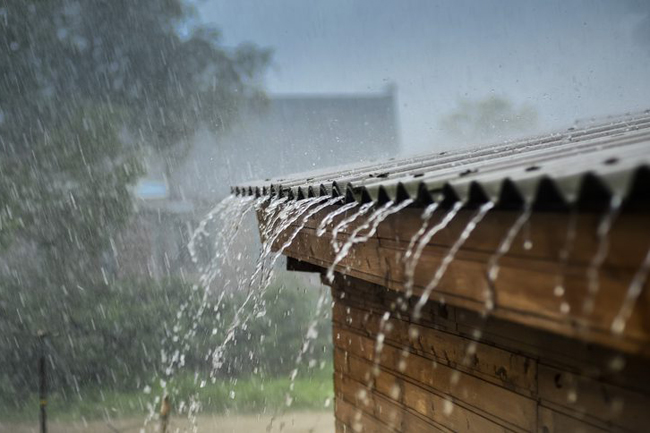 Showery condition likely to enhance from tonight