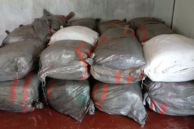 Navy nabs 2 suspects with 600kg of Beedi leaves