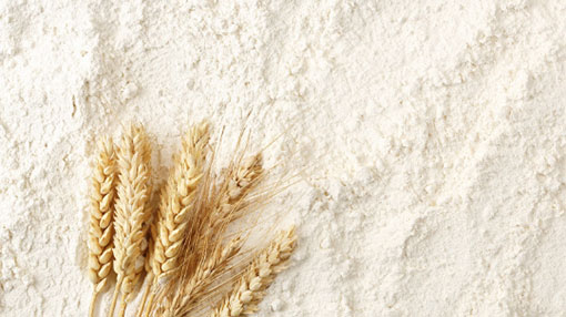 Prima now says no hike in wheat flour price