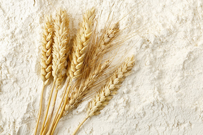 Import levy on wheat flour to be slashed