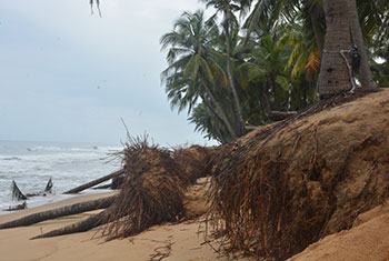 Coastal erosion in Ampara...