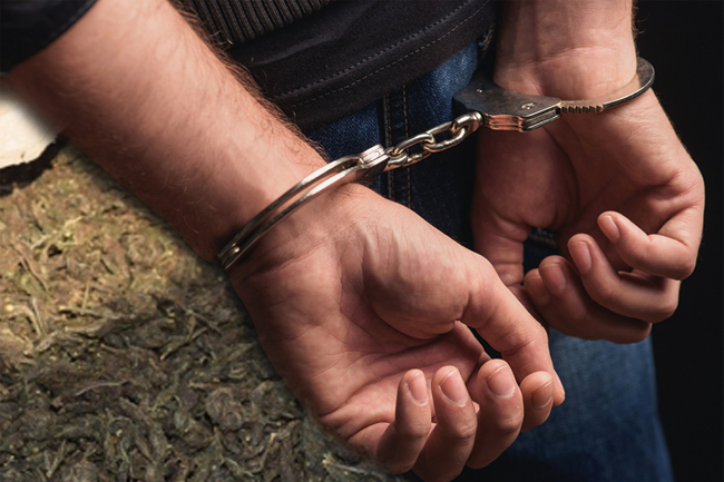 Criminal gang member arrested with Kerala Cannabis