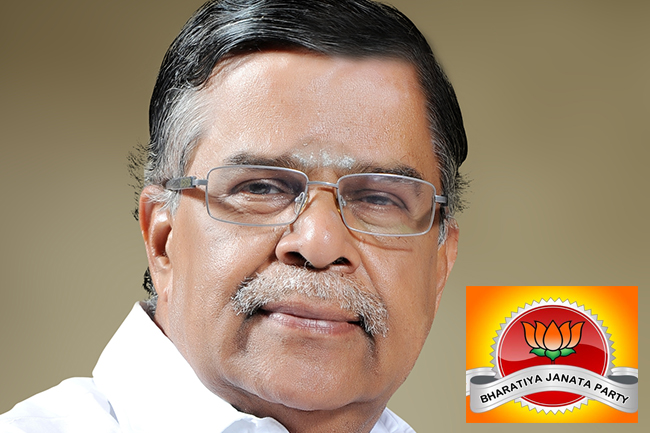 Sri Lankan Tamils should go back, their votes matter more there - BJP leader