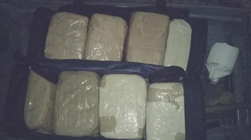 Three apprehended with over 80 kg Kerala Cannabis