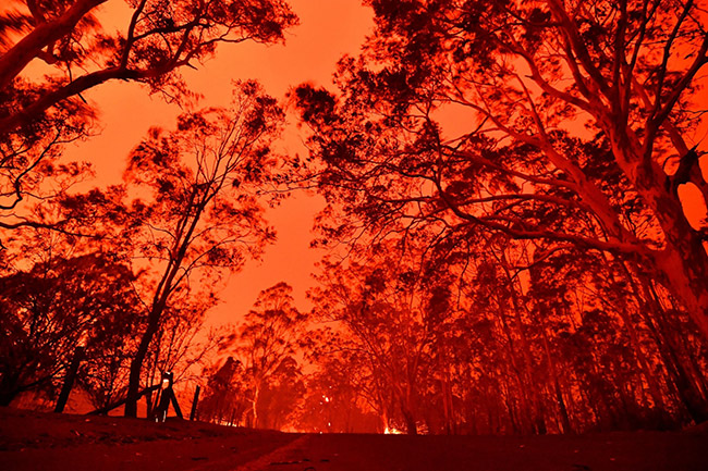 Thousands trapped on Australian beaches by dangerous bushfires