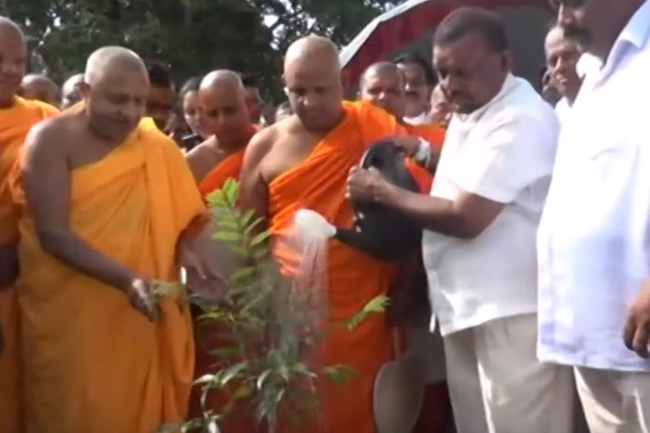 National campaign to plant 1 million trees kicks off