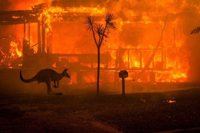 Australia bushfires: Three fires converge to create 6000-hectare inferno