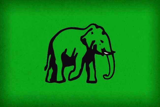 UNP contest general election under 'Elephant'