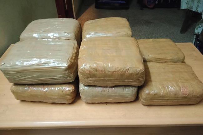 Over 21 kg of Kerala Cannabis recovered in Point Pedro
