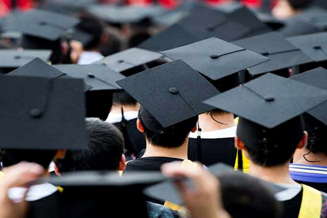 Graduate training scheme temporarily halted