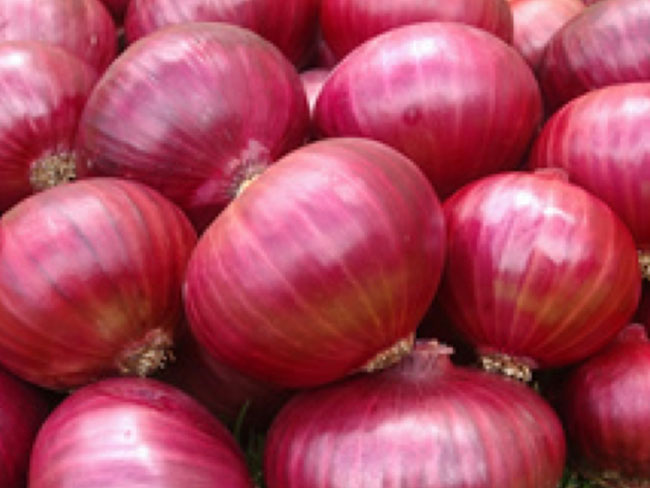 Govt increases minimum certified purchasing price of big onions