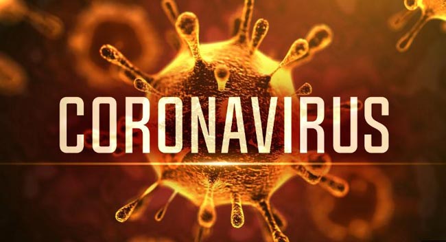 Coronavirus cases in Sri Lanka climb to 113