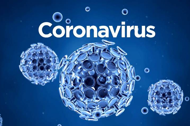 Total of 11 patients recover from coronavirus