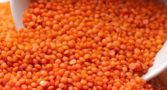 Six-month jail sentence for concealing dhal stocks