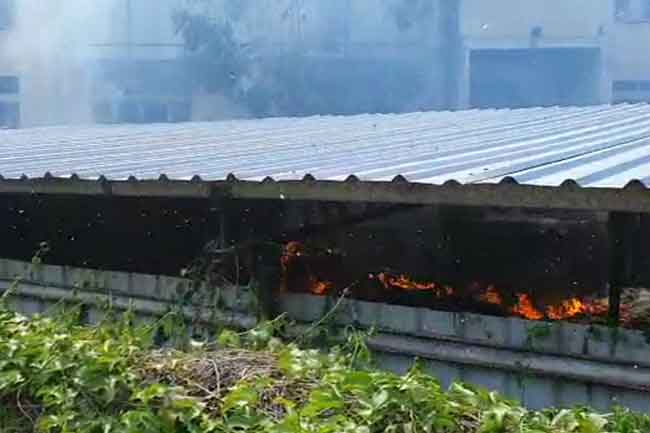 Fire breaks out at Government Printing Department