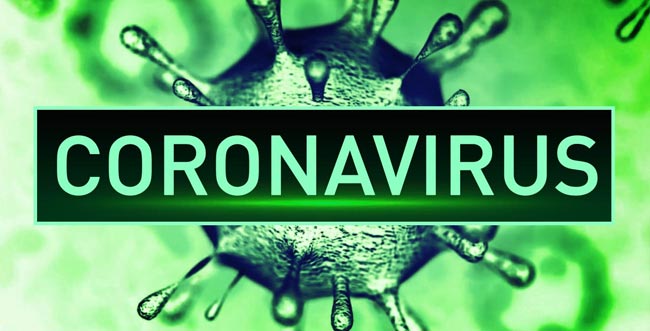 Coronavirus case tally at 588 with 65 cases identified today