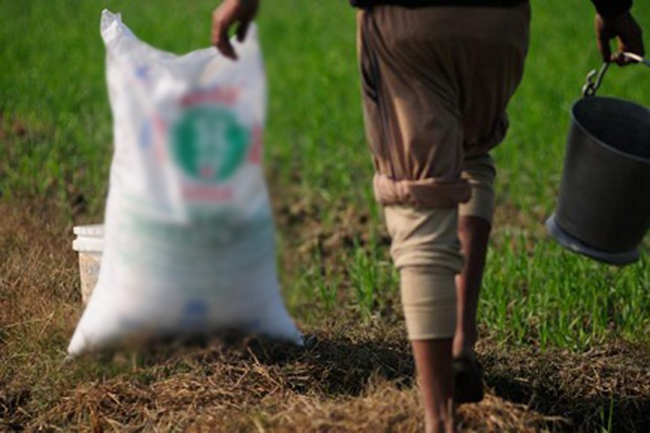Dealership cancelled if subsidized fertilizers are sold higher than fixed prices