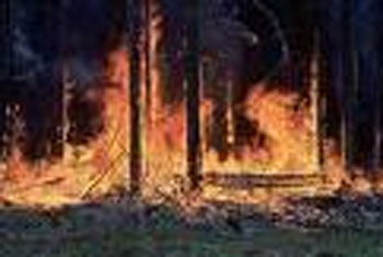Forest fire breaks out in Lihiniyagala reserve, Nuwara-Eliya