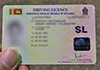 Validity period of driving licences expiring from March 16  June 30 extended