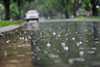 Heavy rainfall expected in parts of the country