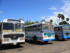 Bus strike in Western Province?