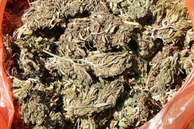 400 kg of Kerala cannabis seized by the navy