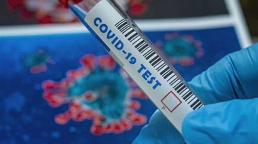 Four new coronavirus cases takes total to 2,686