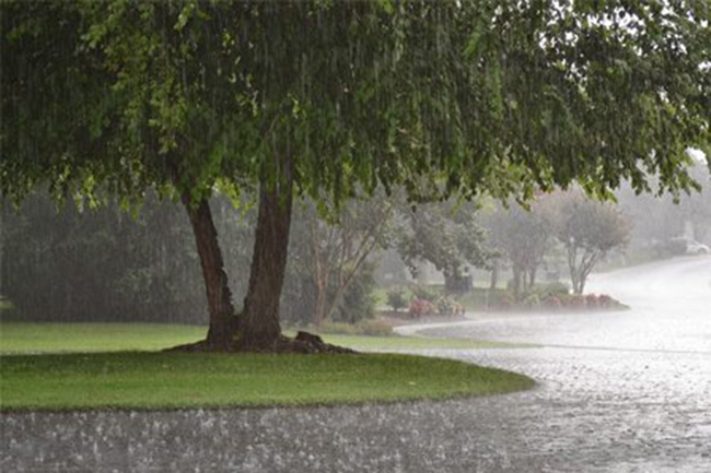 Showers or thundershowers expected in four provinces