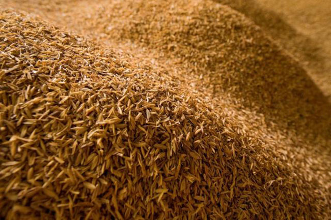 Gazette issued banning use of paddy and rice to produce animal feed