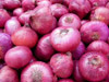 Import levy on big onions hiked