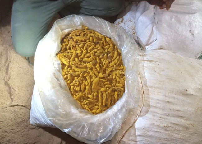 Navy seizes over 8,000 kg of turmeric within 3 weeks