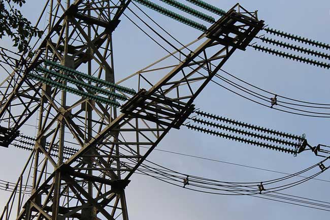 Island-wide power failure a mistake by an officer, committee finds