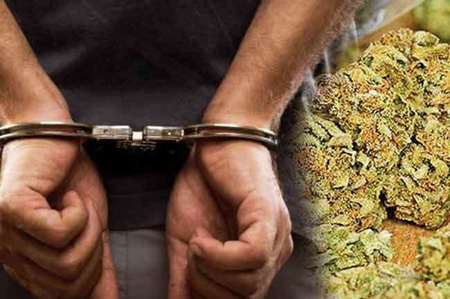 Two navy personnel arrested while transporting cannabis