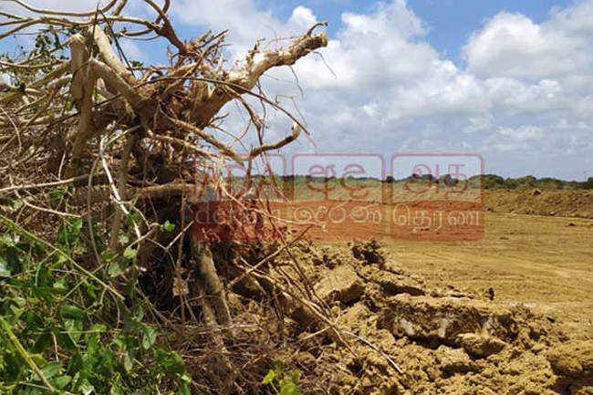 Businessman involved in clearing Anawilundawa Wetland Sanctuary arrested