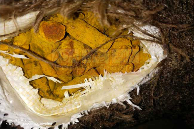 Attempt to smuggle in 1,400 kg turmeric from India intercepted