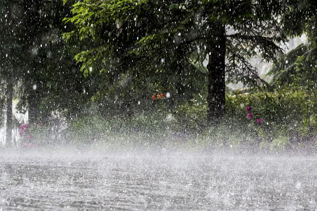 Showery condition likely to enhance from today