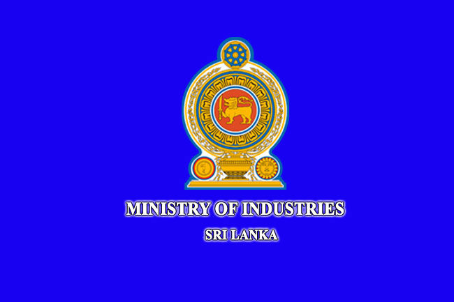 Land plots from regional industrial zones allocated to establish industries