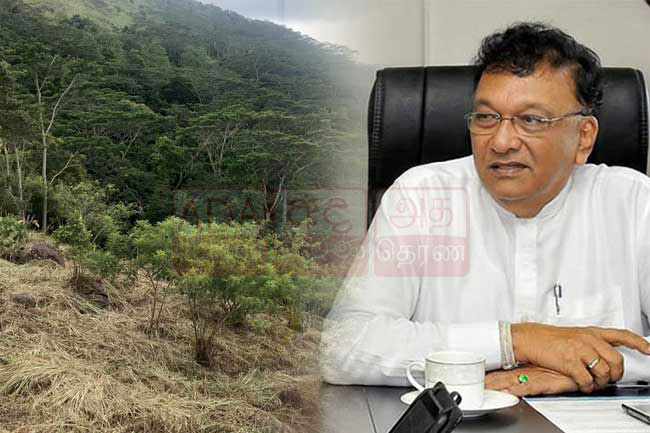Kiriella says land cleared in Hanthana belongs to him, not govt