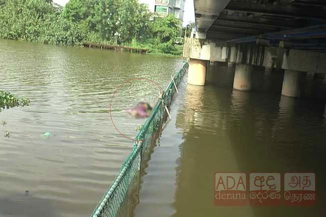 Body of 74-year-old man found floating in Diyawanna Oya