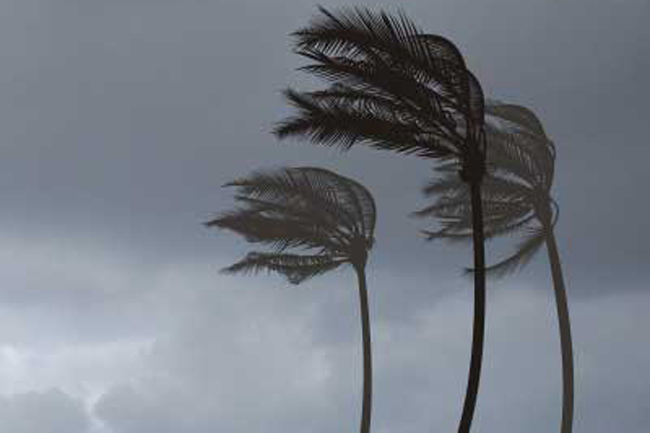 Strong gusty winds expected across the island