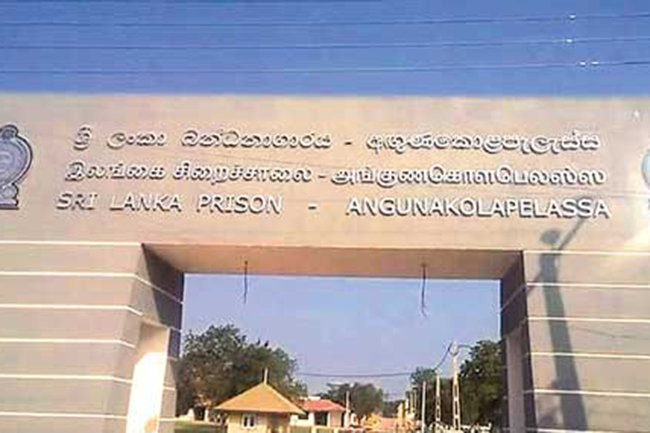 Mobile phones & other contraband thrown over Angunakolapelessa Prison