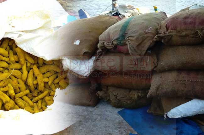 Attempt to smuggle in 1,000 kg of turmeric foiled