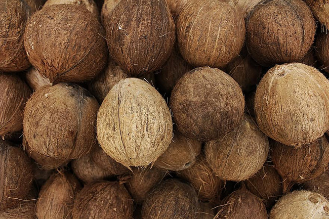 Maximum retail price for coconut