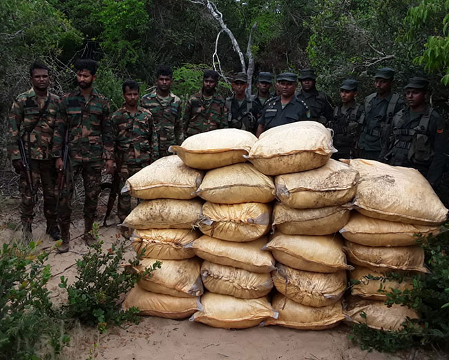 Troops apprehend more smuggled turmeric stocks in Mannar