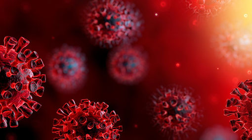 Minuwangoda Covid-19 cluster: another 16 positive cases