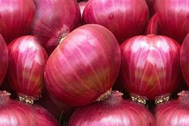 Govt. to buy big onions from local farmers