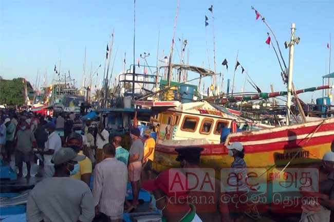 Random PCR tests carried out at Beruwala fisheries harbour