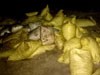 Navy seizes over 04 tonnes of dried turmeric along with 16 suspects