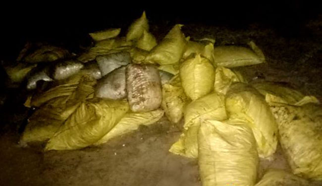 Navy seizes over 04 tonnes of dried turmeric along with 16 suspects