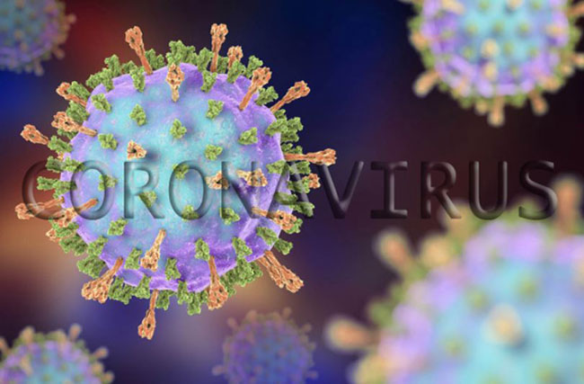 Sri Lanka surpasses 8,000 mark in COVID-19 recoveries